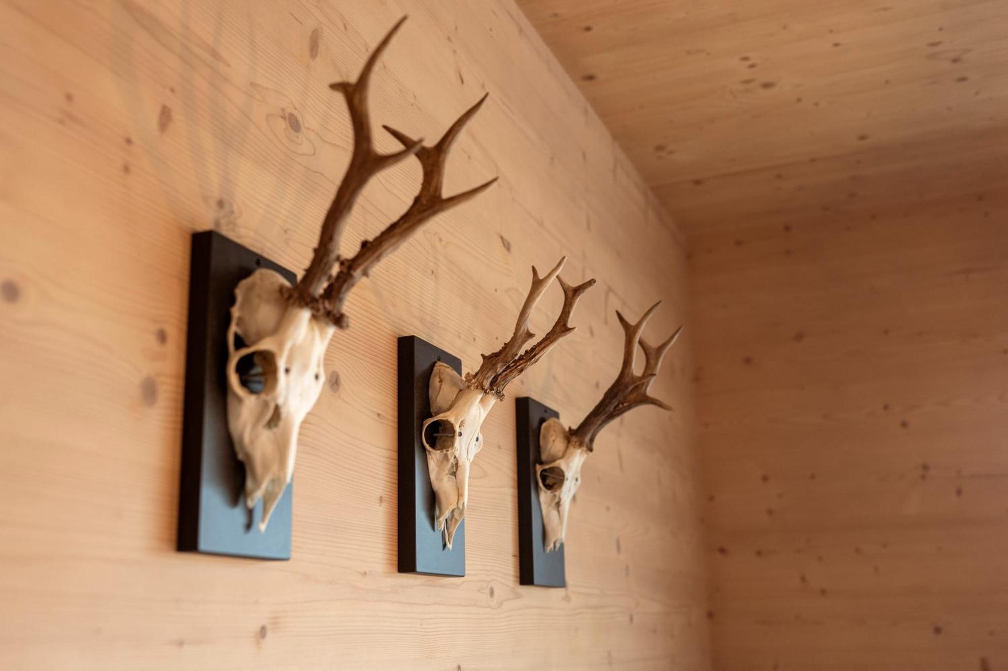Holzlodge Deluxe Radstadt